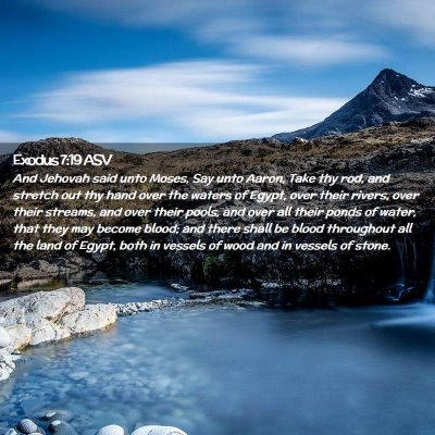 Picture 02 - Exodus 7:19 ASV - And Jehovah said unto Moses, Say unto Aaron, Take - Bible Verse Picture