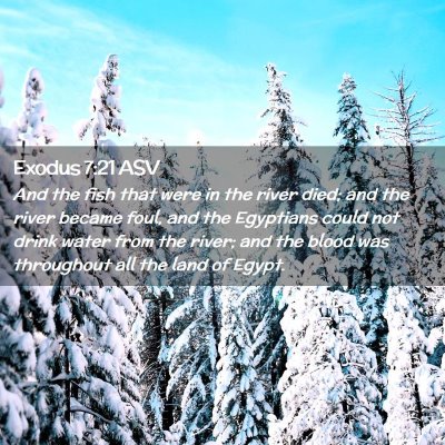 Picture 02 - Exodus 7:21 ASV - And the fish that were in the river died; and the - Bible Verse Picture