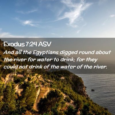 Picture 02 - Exodus 7:24 ASV - And all the Egyptians digged round about the - Bible Verse Picture