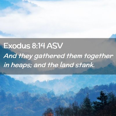 Picture 02 - Exodus 8:14 ASV - And they gathered them together in heaps; and the - Bible Verse Picture