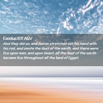 Picture 02 - Exodus 8:17 ASV - And they did so; and Aaron stretched out his hand - Bible Verse Picture