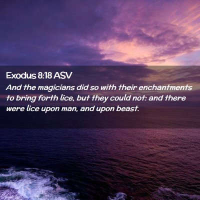 Picture 02 - Exodus 8:18 ASV - And the magicians did so with their enchantments - Bible Verse Picture