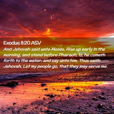 Picture 02 - Exodus 8:20 ASV - And Jehovah said unto Moses, Rise up early in the - Bible Verse Picture