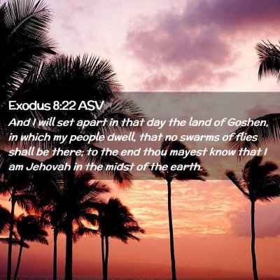 Picture 02 - Exodus 8:22 ASV - And I will set apart in that day the land of - Bible Verse Picture