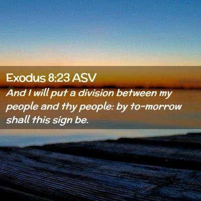 Picture 02 - Exodus 8:23 ASV - And I will put a division between my people and - Bible Verse Picture