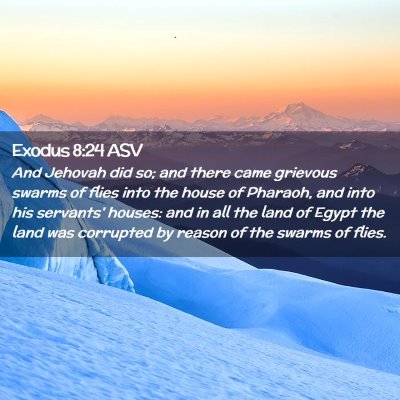 Picture 02 - Exodus 8:24 ASV - And Jehovah did so; and there came grievous - Bible Verse Picture