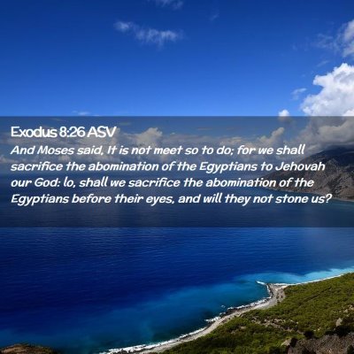 Picture 02 - Exodus 8:26 ASV - And Moses said, It is not meet so to do; for we - Bible Verse Picture
