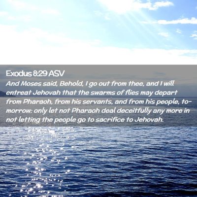 Picture 02 - Exodus 8:29 ASV - And Moses said, Behold, I go out from thee, and I - Bible Verse Picture