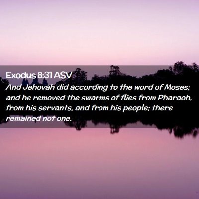 Picture 02 - Exodus 8:31 ASV - And Jehovah did according to the word of Moses; - Bible Verse Picture