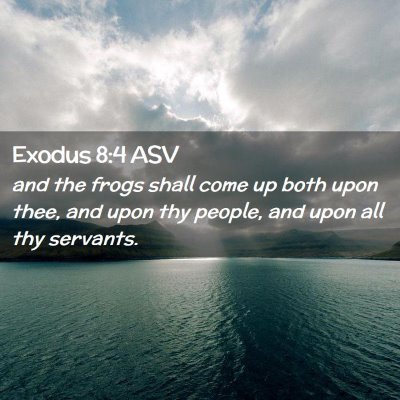 Picture 02 - Exodus 8:4 ASV - and the frogs shall come up both upon thee, and - Bible Verse Picture