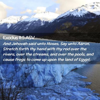 Picture 02 - Exodus 8:5 ASV - And Jehovah said unto Moses, Say unto Aaron, - Bible Verse Picture