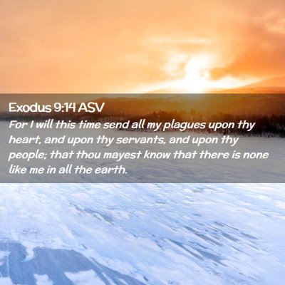 Picture 02 - Exodus 9:14 ASV - For I will this time send all my plagues upon thy - Bible Verse Picture