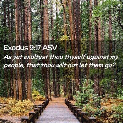 Picture 02 - Exodus 9:17 ASV - As yet exaltest thou thyself against my people, - Bible Verse Picture