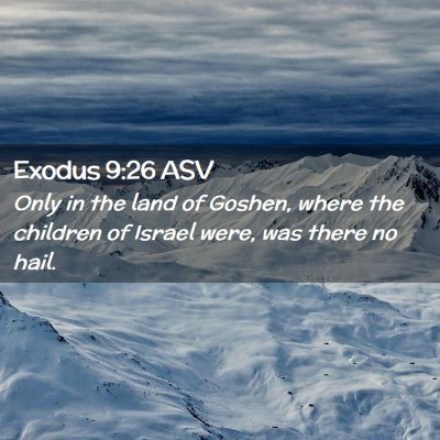 Picture 02 - Exodus 9:26 ASV - Only in the land of Goshen, where the children of - Bible Verse Picture
