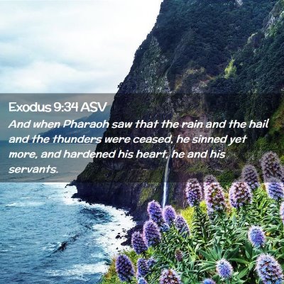 Picture 02 - Exodus 9:34 ASV - And when Pharaoh saw that the rain and the hail - Bible Verse Picture