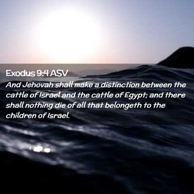 Picture 02 - Exodus 9:4 ASV - And Jehovah shall make a distinction between the - Bible Verse Picture