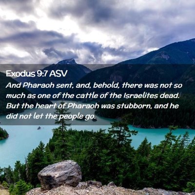 Picture 02 - Exodus 9:7 ASV - And Pharaoh sent, and, behold, there was not so - Bible Verse Picture