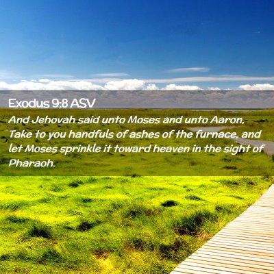 Picture 02 - Exodus 9:8 ASV - And Jehovah said unto Moses and unto Aaron, Take - Bible Verse Picture