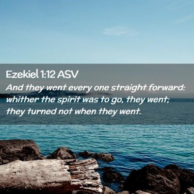 Picture 02 - Ezekiel 1:12 ASV - And they went every one straight forward: whither - Bible Verse Picture