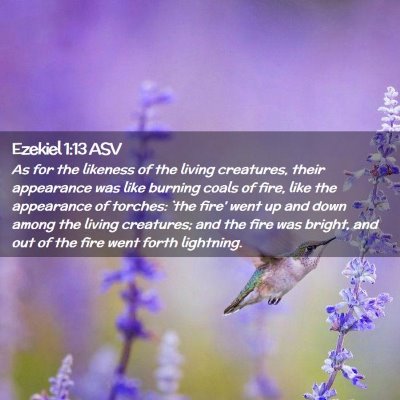 Picture 02 - Ezekiel 1:13 ASV - As for the likeness of the living creatures, - Bible Verse Picture