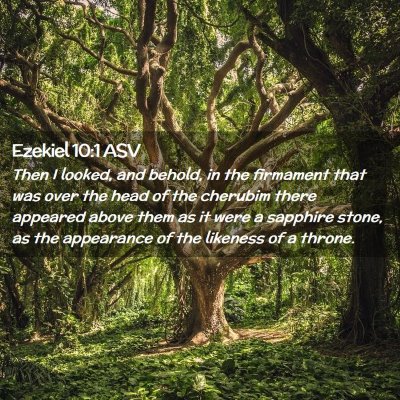 Picture 02 - Ezekiel 10:1 ASV - Then I looked, and behold, in the firmament that - Bible Verse Picture