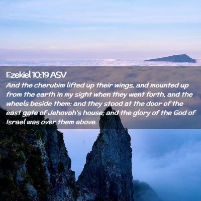Picture 02 - Ezekiel 10:19 ASV - And the cherubim lifted up their wings, and - Bible Verse Picture