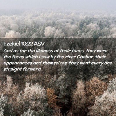 Picture 02 - Ezekiel 10:22 ASV - And as for the likeness of their faces, they were - Bible Verse Picture
