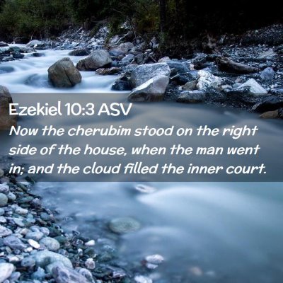 Picture 02 - Ezekiel 10:3 ASV - Now the cherubim stood on the right side of the - Bible Verse Picture