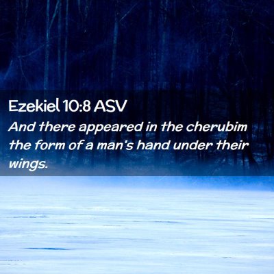 Picture 02 - Ezekiel 10:8 ASV - And there appeared in the cherubim the form of a - Bible Verse Picture