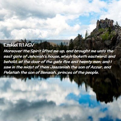 Picture 02 - Ezekiel 11:1 ASV - Moreover the Spirit lifted me up, and brought me - Bible Verse Picture