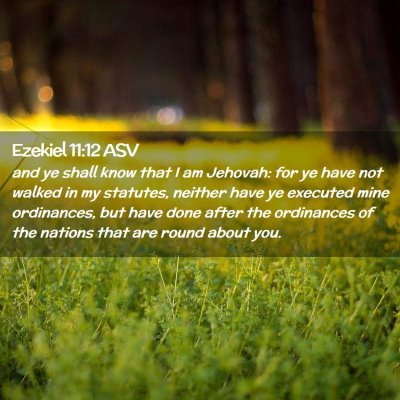 Picture 02 - Ezekiel 11:12 ASV - and ye shall know that I am Jehovah: for ye have - Bible Verse Picture