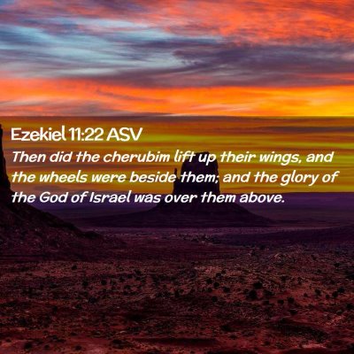 Picture 02 - Ezekiel 11:22 ASV - Then did the cherubim lift up their wings, and - Bible Verse Picture