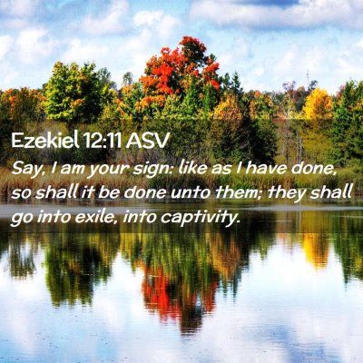 Picture 02 - Ezekiel 12:11 ASV - Say, I am your sign: like as I have done, so - Bible Verse Picture