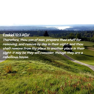 Picture 02 - Ezekiel 12:3 ASV - Therefore, thou son of man, prepare thee stuff - Bible Verse Picture