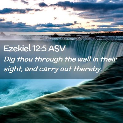 Picture 02 - Ezekiel 12:5 ASV - Dig thou through the wall in their sight, and - Bible Verse Picture