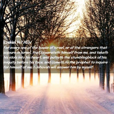 Picture 02 - Ezekiel 14:7 ASV - For every one of the house of Israel, or of the - Bible Verse Picture