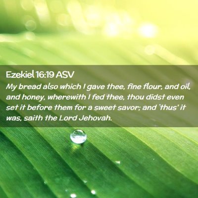 Picture 02 - Ezekiel 16:19 ASV - My bread also which I gave thee, fine flour, and - Bible Verse Picture