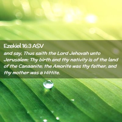 Picture 02 - Ezekiel 16:3 ASV - and say, Thus saith the Lord Jehovah unto - Bible Verse Picture