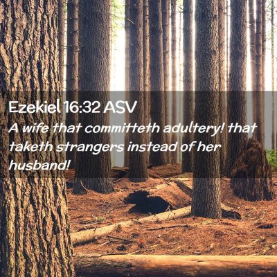 Picture 02 - Ezekiel 16:32 ASV - A wife that committeth adultery! that taketh - Bible Verse Picture
