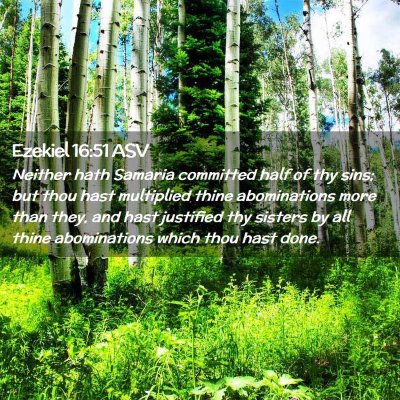 Picture 02 - Ezekiel 16:51 ASV - Neither hath Samaria committed half of thy sins; - Bible Verse Picture