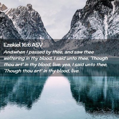 Picture 02 - Ezekiel 16:6 ASV - And when I passed by thee, and saw thee weltering - Bible Verse Picture