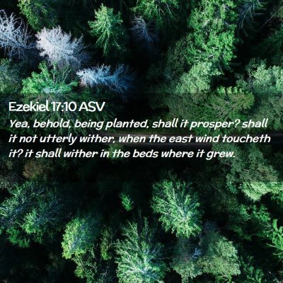 Picture 02 - Ezekiel 17:10 ASV - Yea, behold, being planted, shall it prosper? - Bible Verse Picture