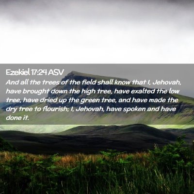 Picture 02 - Ezekiel 17:24 ASV - And all the trees of the field shall know that I, - Bible Verse Picture
