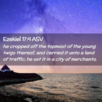 Picture 02 - Ezekiel 17:4 ASV - he cropped off the topmost of the young twigs - Bible Verse Picture