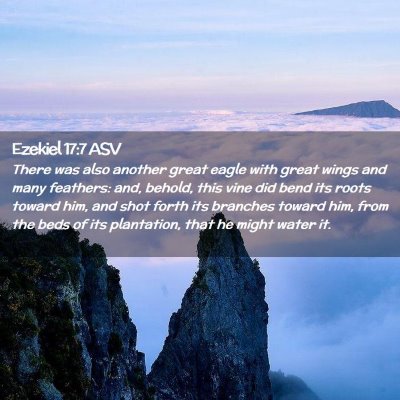 Picture 02 - Ezekiel 17:7 ASV - There was also another great eagle with great - Bible Verse Picture