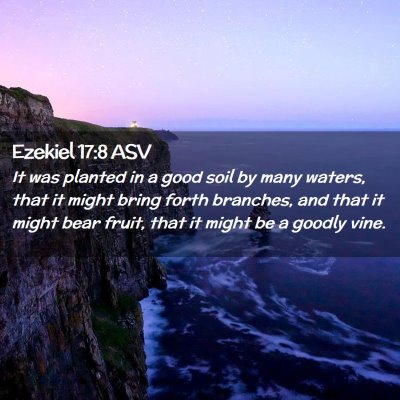 Picture 02 - Ezekiel 17:8 ASV - It was planted in a good soil by many waters, - Bible Verse Picture