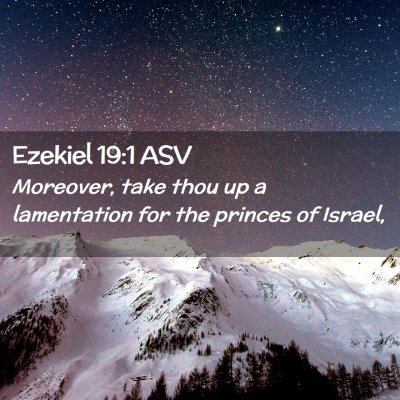 Picture 02 - Ezekiel 19:1 ASV - Moreover, take thou up a lamentation for the - Bible Verse Picture