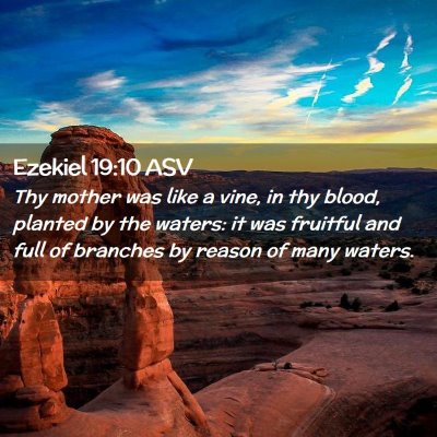 Picture 02 - Ezekiel 19:10 ASV - Thy mother was like a vine, in thy blood, planted - Bible Verse Picture