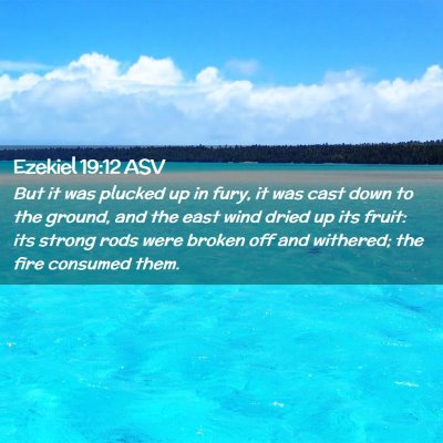 Picture 02 - Ezekiel 19:12 ASV - But it was plucked up in fury, it was cast down - Bible Verse Picture