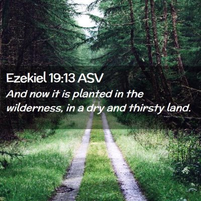 Picture 02 - Ezekiel 19:13 ASV - And now it is planted in the wilderness, in a dry - Bible Verse Picture